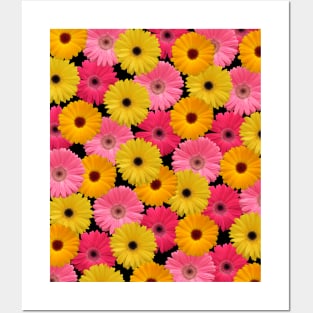 gerbera flowers Posters and Art